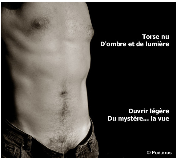 0102 torse