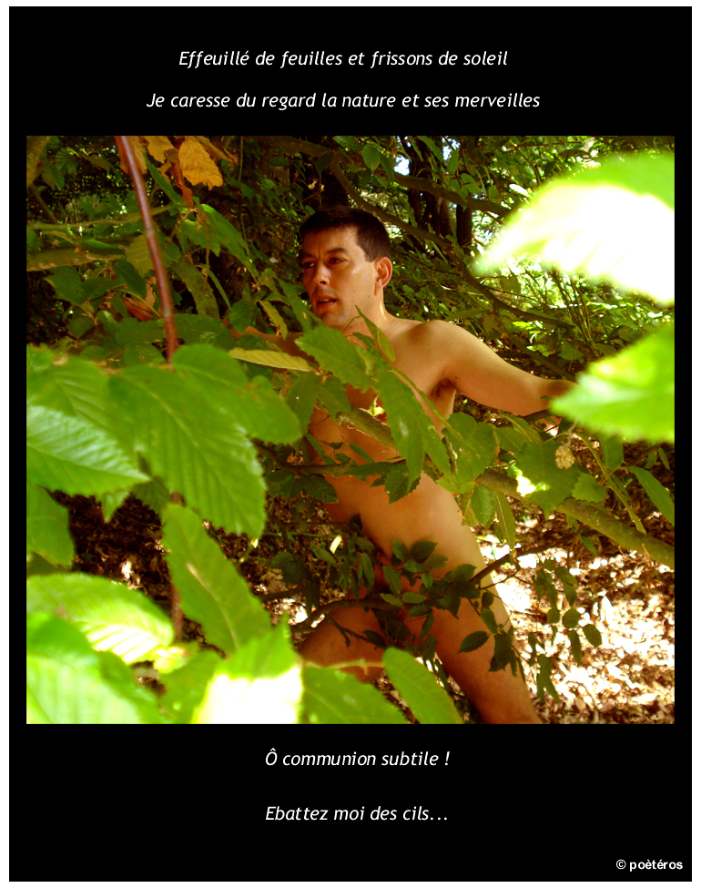 0103 feuille